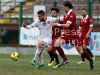 TanoPressSrl_133373