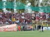 TanoPressSrl_138465