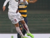 TanoPress_Srl_165890
