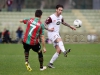 TanoPress_Srl_151315