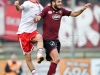 TanoPress_Srl_145990