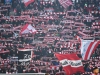 TanoPress_Srl_147306